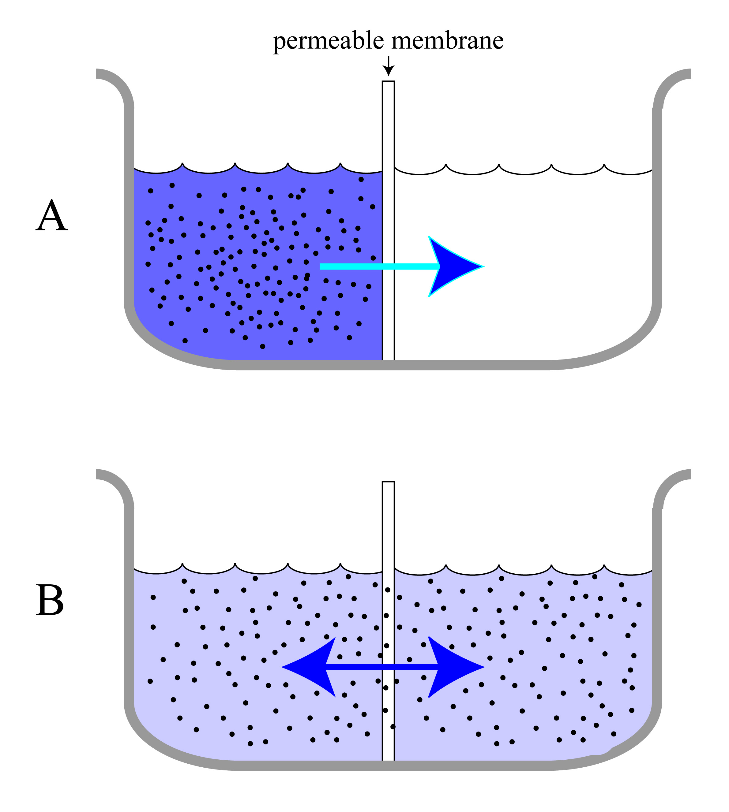 diffusion